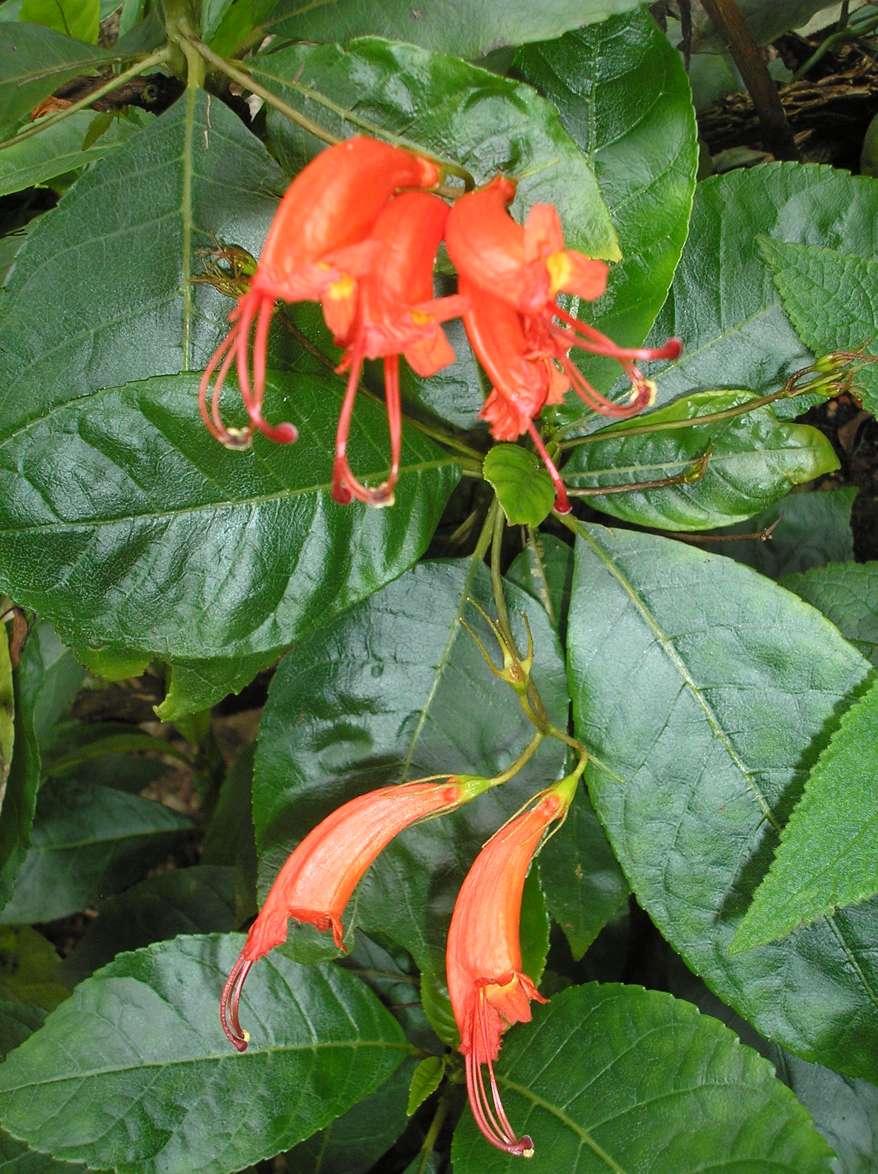 P1017797.JPG