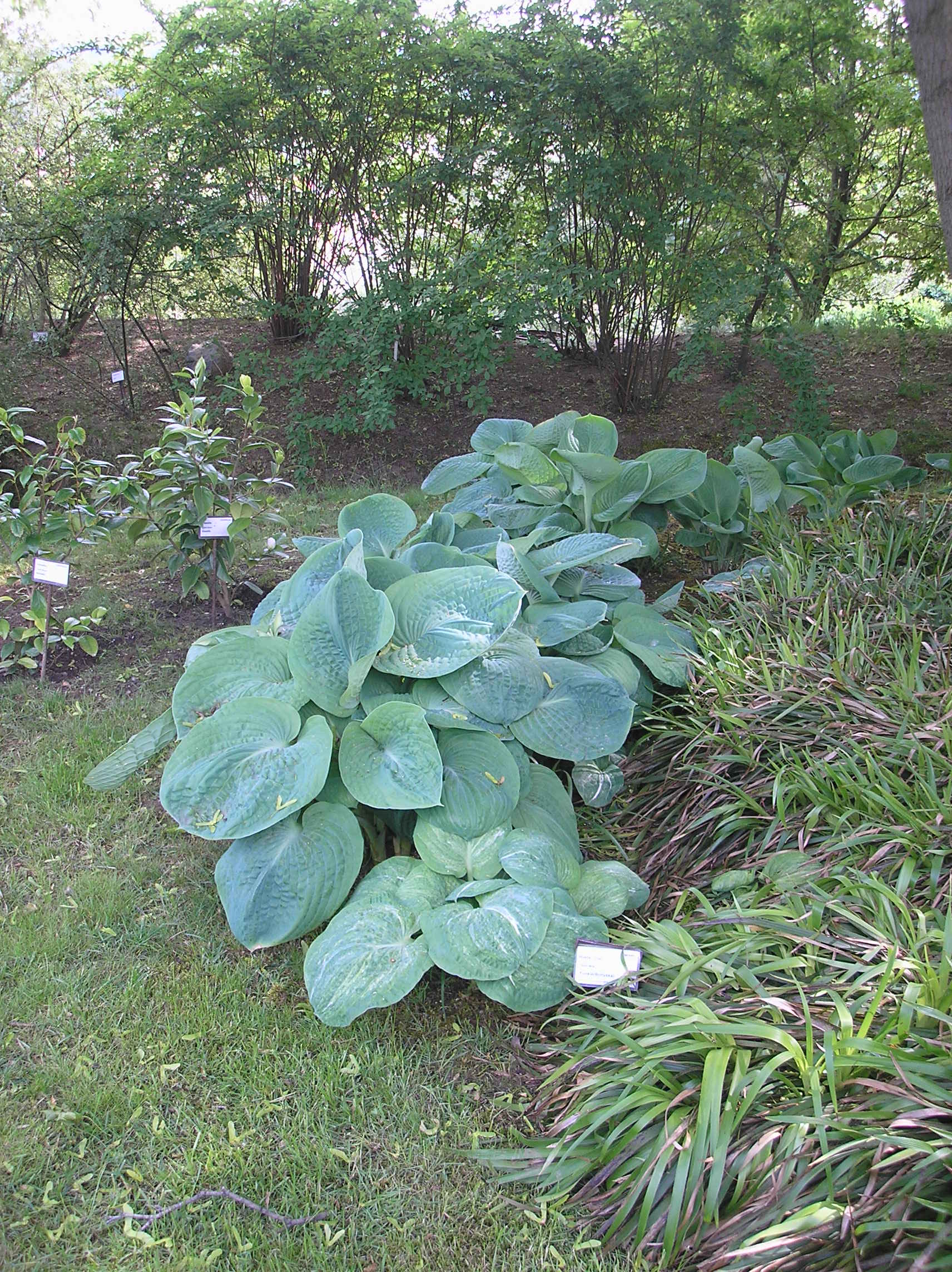 P1017857.JPG