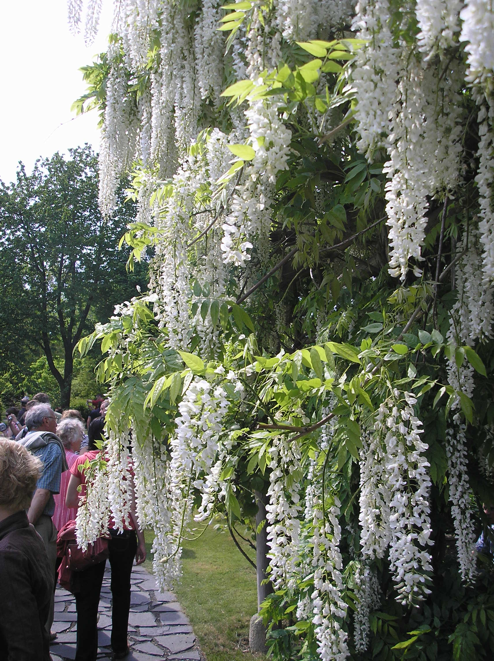 P1017869.JPG