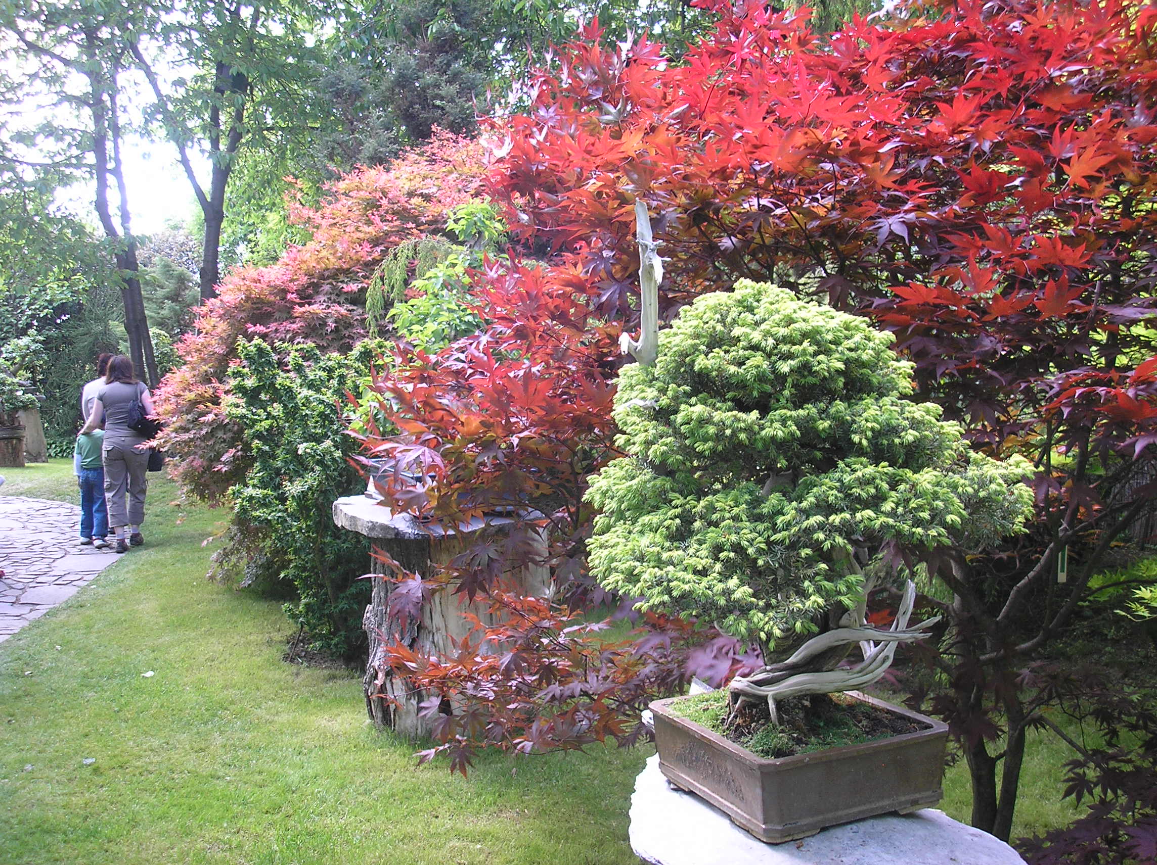 P1017894.JPG
