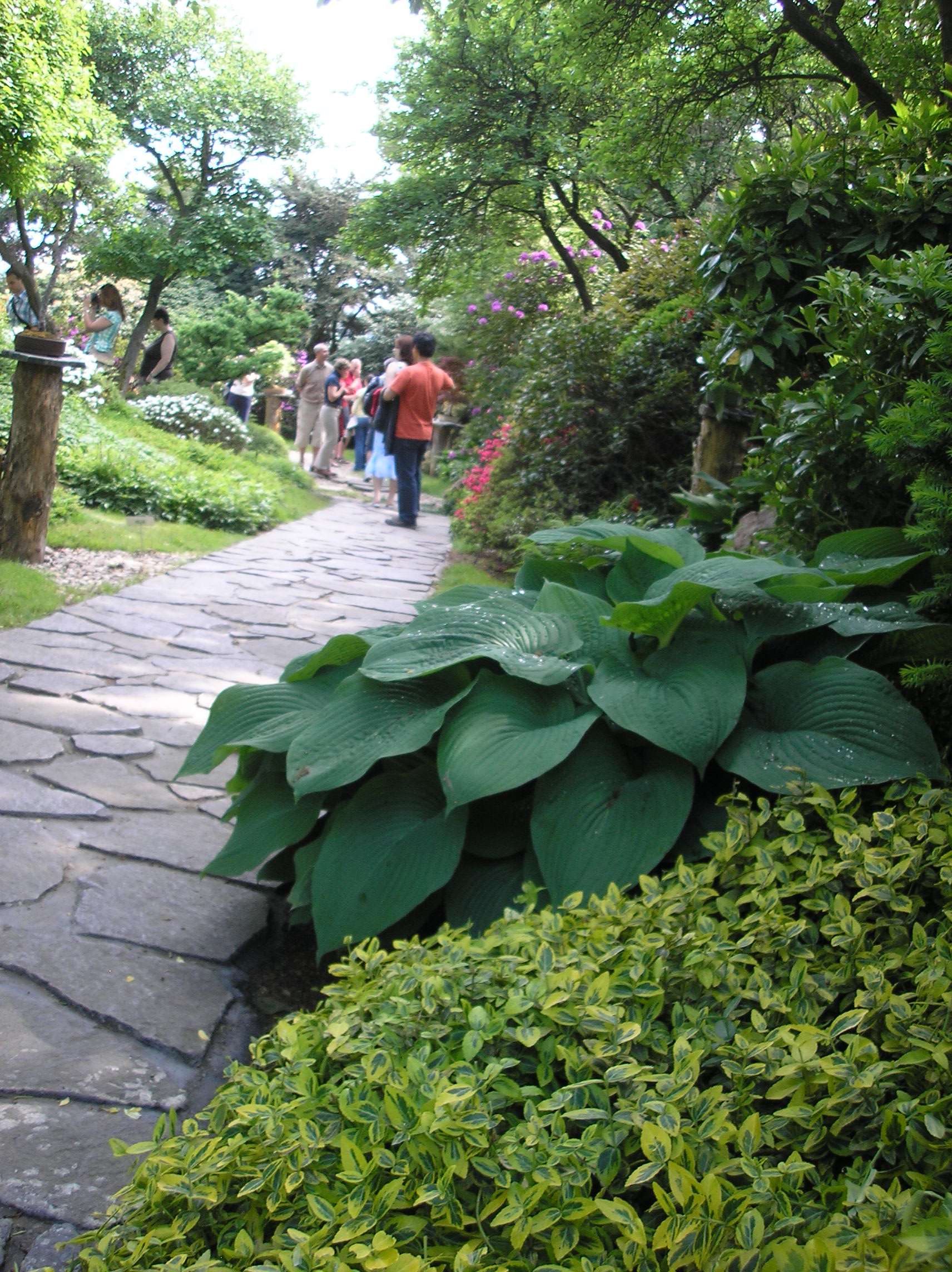 P1017909.JPG